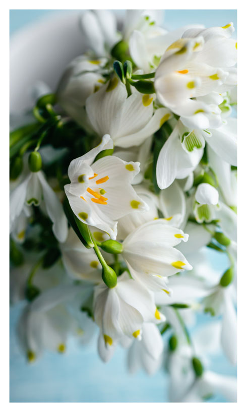 Φθινοπωρινή διακόσμηση σπιτιού | Artline Έπιπλα Άργος